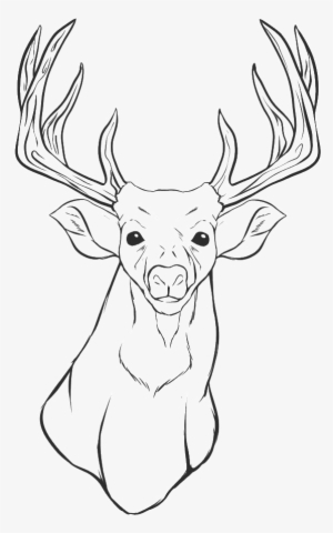 Drawing Of Deer Heads