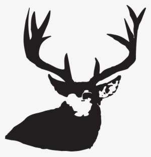 Decal