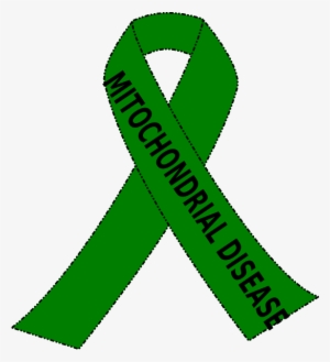 How To Set Use Mito Ribbon Clipart