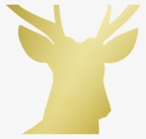 Stag Clipart Golden - Reindeer