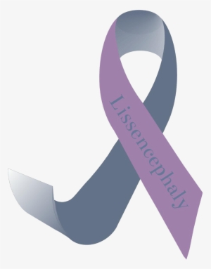 To Assist The Lissencephaly Community With Their Effort - Lissencephaly Awareness