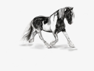 Horse Mottled Art Animals Painting Digital - Horse