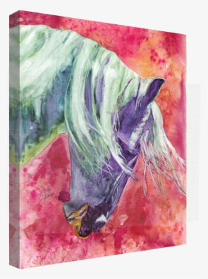 Rainbow Card Company Sc121tw 12 X 16