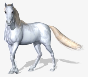 Horse Png Image - White Horse Images Png