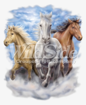 3 Running Horses