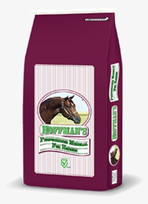 Hoffman's Performance - Hoffman's Maintenance