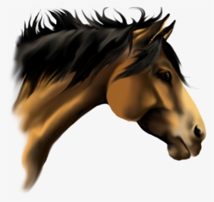 Horse Face Vector Clip Art - 3d Horse Face