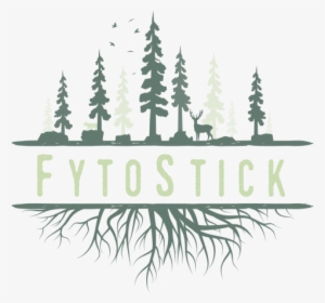 Seeds Have Fallen Without Interference From Mammals - Luna Tree: The Baby Project