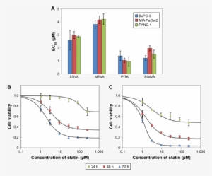 Activity Of Statins On Cell Viability - Bxpc-3