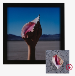 Killers Wonderful Wonderful Deluxe Ed