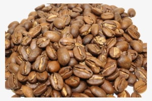 Roasts Every Month - Roast