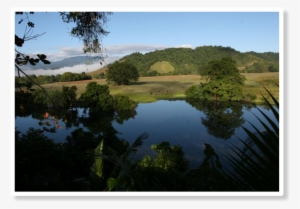 Sun Rising Over The Daintree Rive - Daintree