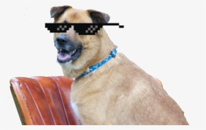 Cool Max - Coolmax