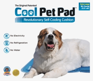 Green Cooling Pet Mat - No Water