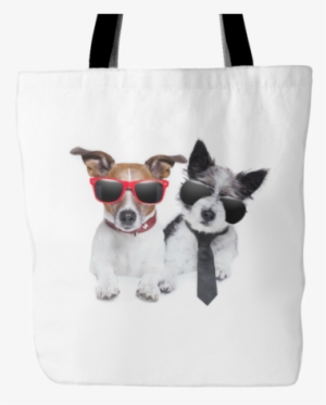 2 Cool Dogs - J9112 Jumbo Funny Thank You Card: 'thanks Bro' Thank
