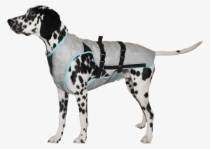 “keep Your Dog Cool And Dry, This Helps To Avoid Heat - Suitical Dry Cooling Vest