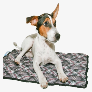 Be - Aqua Coolkeeper Scottish Grey