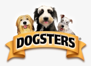 Ice Cream Style Treats For Dogs - Dogsters Ice Cream Price