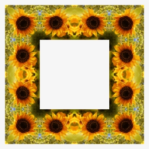Clipart Sunflower Png Best - Picture Frame