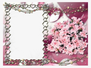 Elegant Png Photo Frames Free Download Adobe Photoshop - Flower Frame