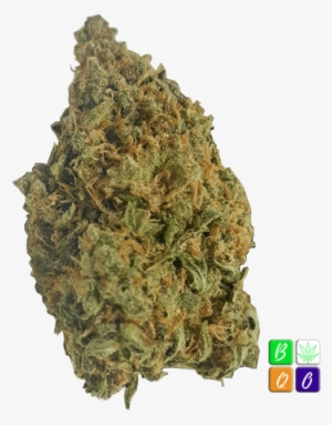 Blue Cheese - Medical Cannabis