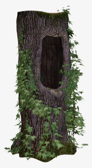 Trunk Png Tree Trunk Ivy - Tronco De Arbol Png