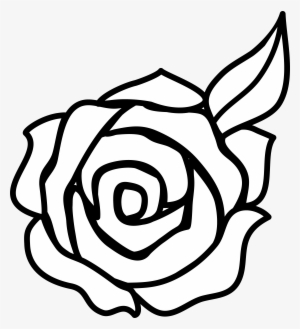 Rose Clip Art - Art Rose Drawing