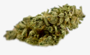 2017's Best & Worst Cannabis Moments - Close-up