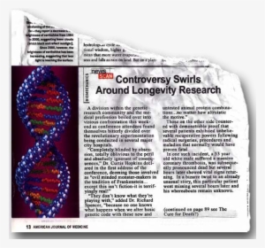 Deadtropolis Newspaper - Newspaper