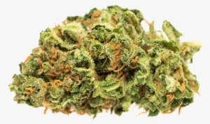 Bud