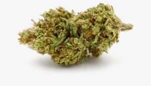 Yeti-single - Cannabis Shop