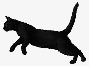Creekfrost - Warrior - Cat