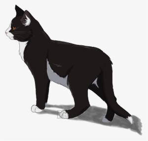 Яєввєℓℓιση - Warrior Cats Fan Art Tallstar