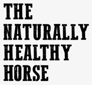 The Naturally Healthy Horse - Death Valley National Park Keychain, Blue, (2.00")