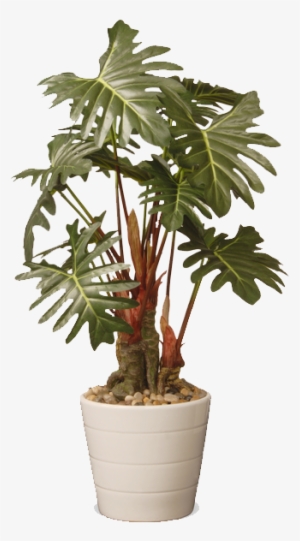 Bay Isle Home Philodendron Floor Foliage Plant