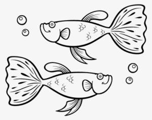 Pez Guppy Para Colorear