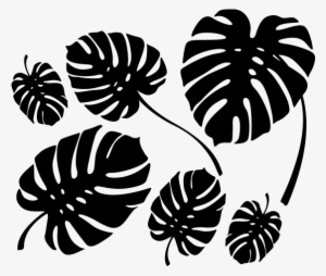 Philodendron - Sticker Feuille De Philodendron