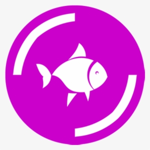 Peces - Cat
