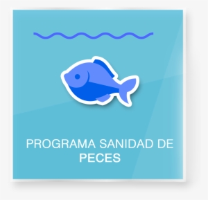 Boton Peces - Fish