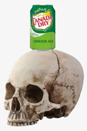 This Is What A Panic Attack Feels Like - Canada Dry Ginger Ale, 12 Fl Oz Can