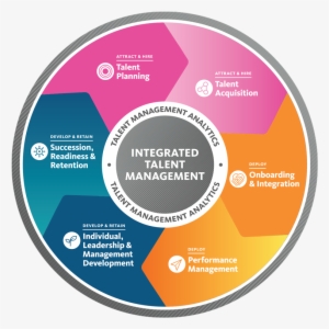Talent Management Continuum - Talent Management Process