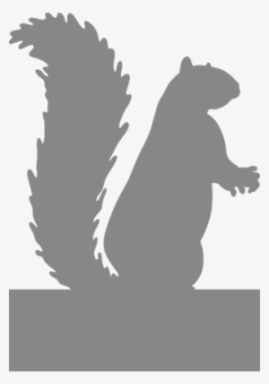 Squirrel Standing - Protect Your Nuts Specify Color Otherwise We Ship White
