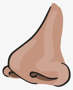 Both People With Sleep Apnea And People Whose Circadian