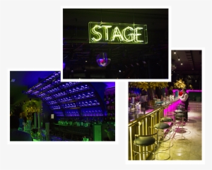 6k Franja 24 Mar 2015 - Delphinium