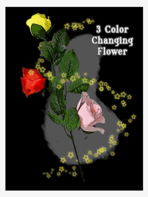 Three Color Changing Floating Flower By Jl Magic