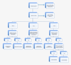 Flowchart For Assessment Of Visual Agnosias - Agnosia