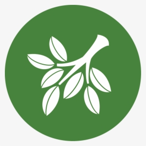 Conservation-csp - North Carolina