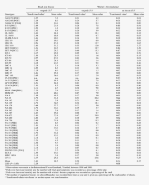 Expression Of Black Pod And Witches'-broom Diseases - Monochrome