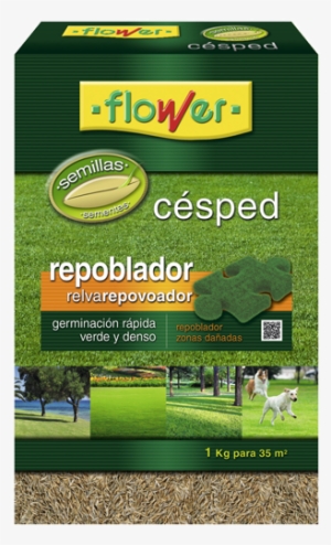 Semillas Césped Repoblador - Flower 10787 Fort Lawn Seed Litoral 1 Kg