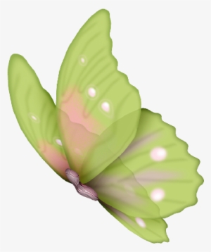 Sapos, Corazones, Mariposas, Marcos, Césped, Nube, - Frames Png De Libelulas